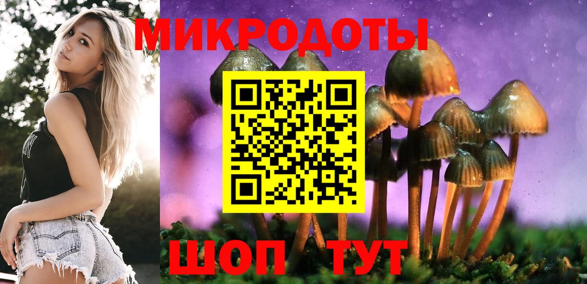Галлюциногенные грибы Psilocybine cubensis  Вход с VPN  Псилоцибиновые грибы мицелий  Усинск 